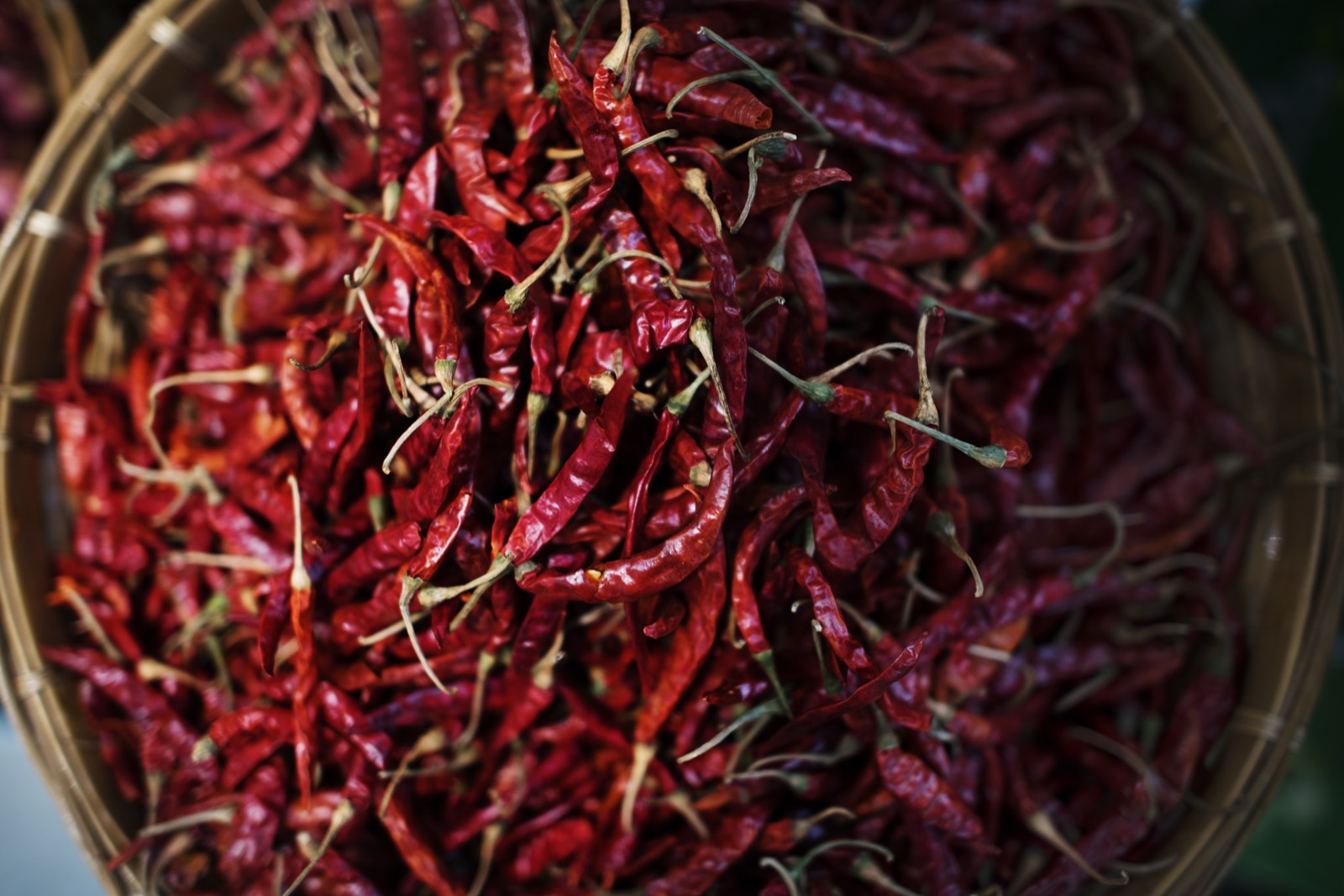 Cap Bon chili harvest