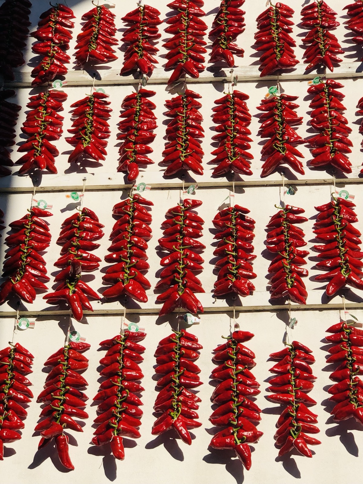 Chili pepper strings drying on a sunlit wall